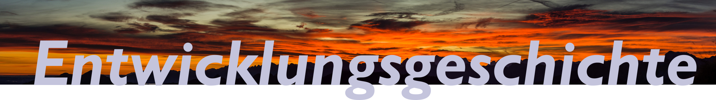 Banner Entwicklungsgeschichte