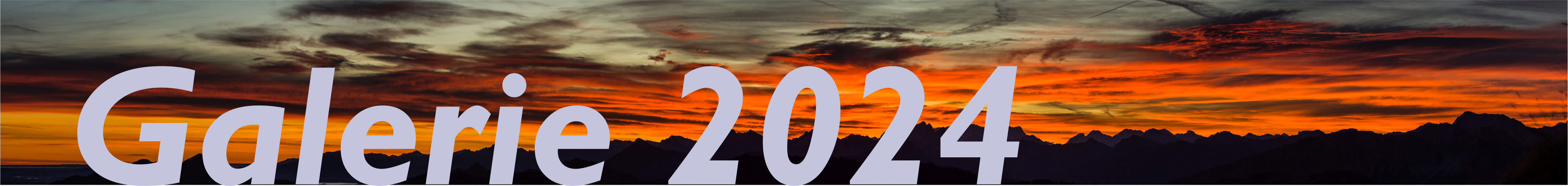 Banner Galerie 2024