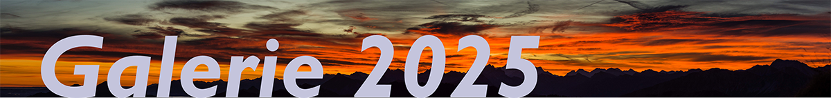 Galerie Banner2025 web